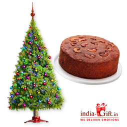 Christmas Tree & Plum Cake